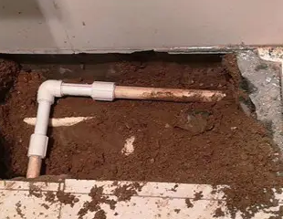 咸丰测漏水哪家好