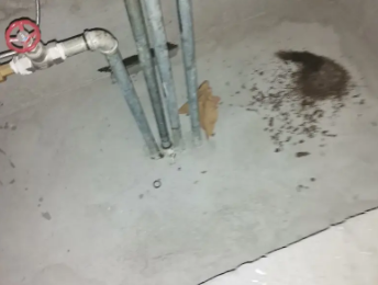 咸丰卫生间测漏水价格明细