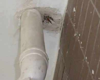 咸丰漏水检测哪家好